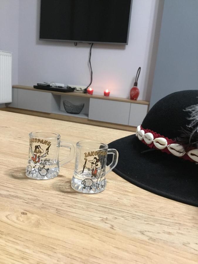 Apartament Aleksander Zakopane Bagian luar foto